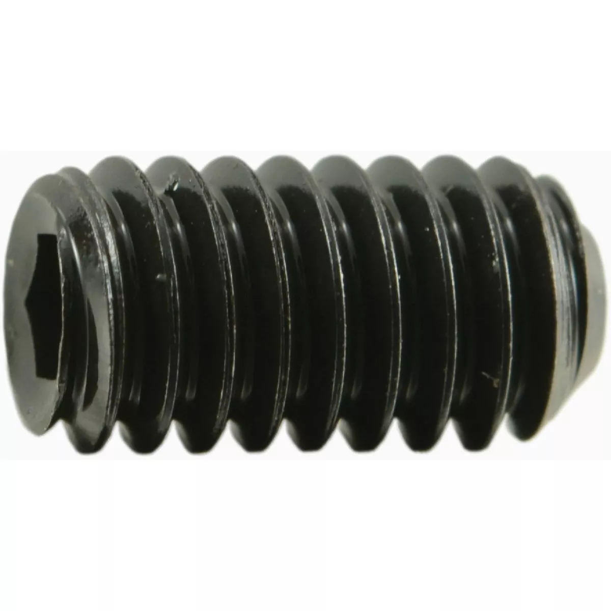 Midwest Fastener #8-32 x 5/16 In. Steel Coarse Thread Hex Socket Headless Set Screws (25 Ct.)-