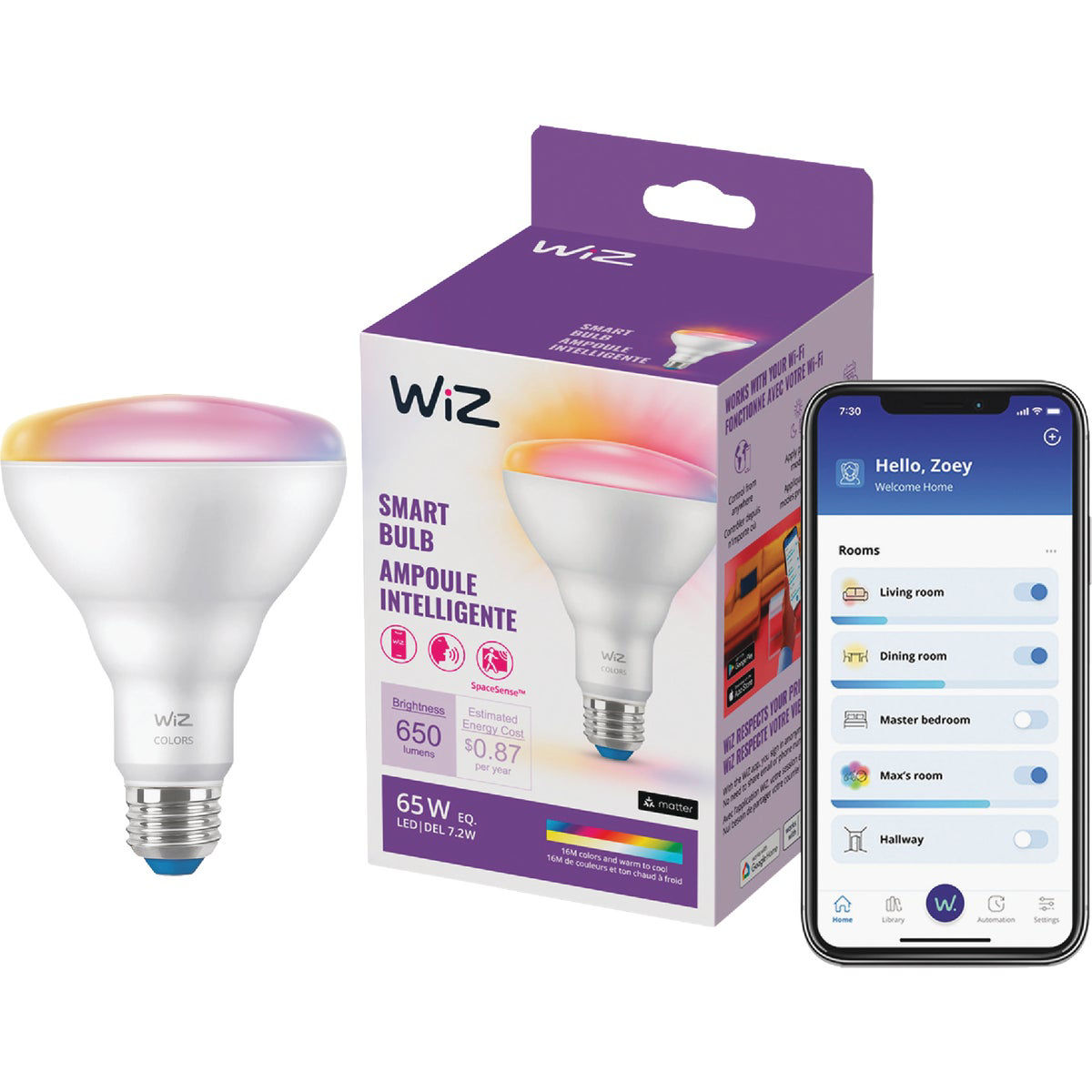 Wiz 65W Equivalent BR30 Medium Smart LED Light Bulb | Do it Best