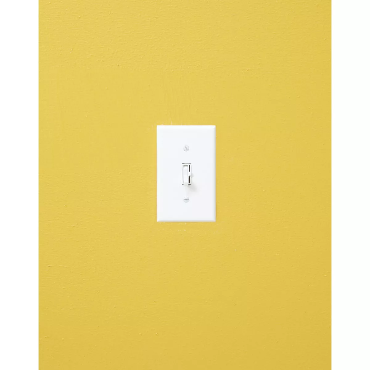 Lutron Toggler Incandescent White Single Pole Preset Slide Dimmer Switch - photo 3