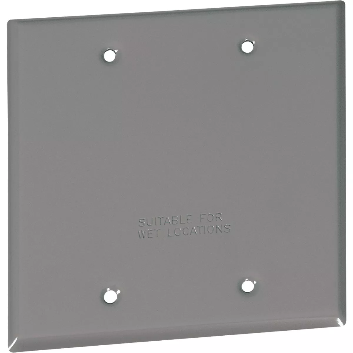 Southwire Double Gang Gray Weatherproof Blank Cover