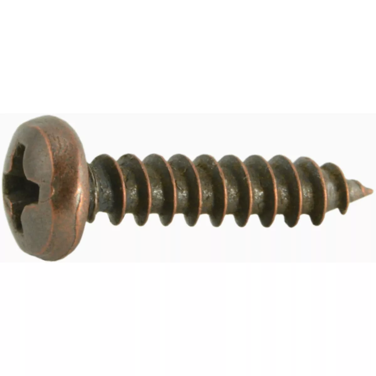 Midwest Fastener #6 x 5/8 In. Venetian Bronze Plated Steel Phillips Pan Head Sheet Metal Screws (45 Ct.)