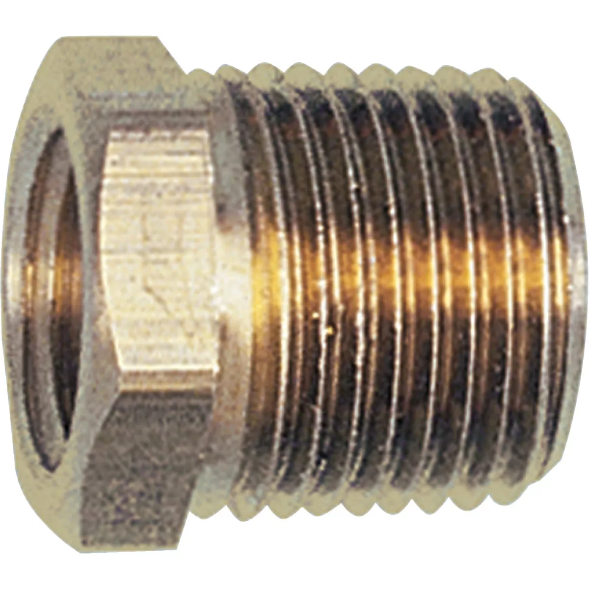 Tru-Flate 1/4 In. FNPT x 3/8 In. MNPT Brass Bushing - photo 2