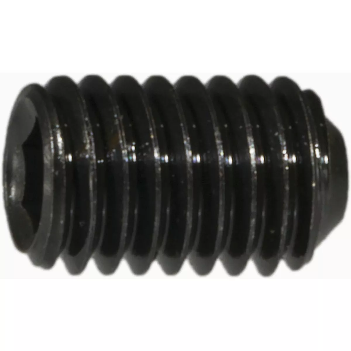 Midwest Fastener 5mm-0.8 x 8mm Plain Class 14.9 Steel Coarse Thread Cup Point Hex Socket Headless Set Screws (10 Ct.)