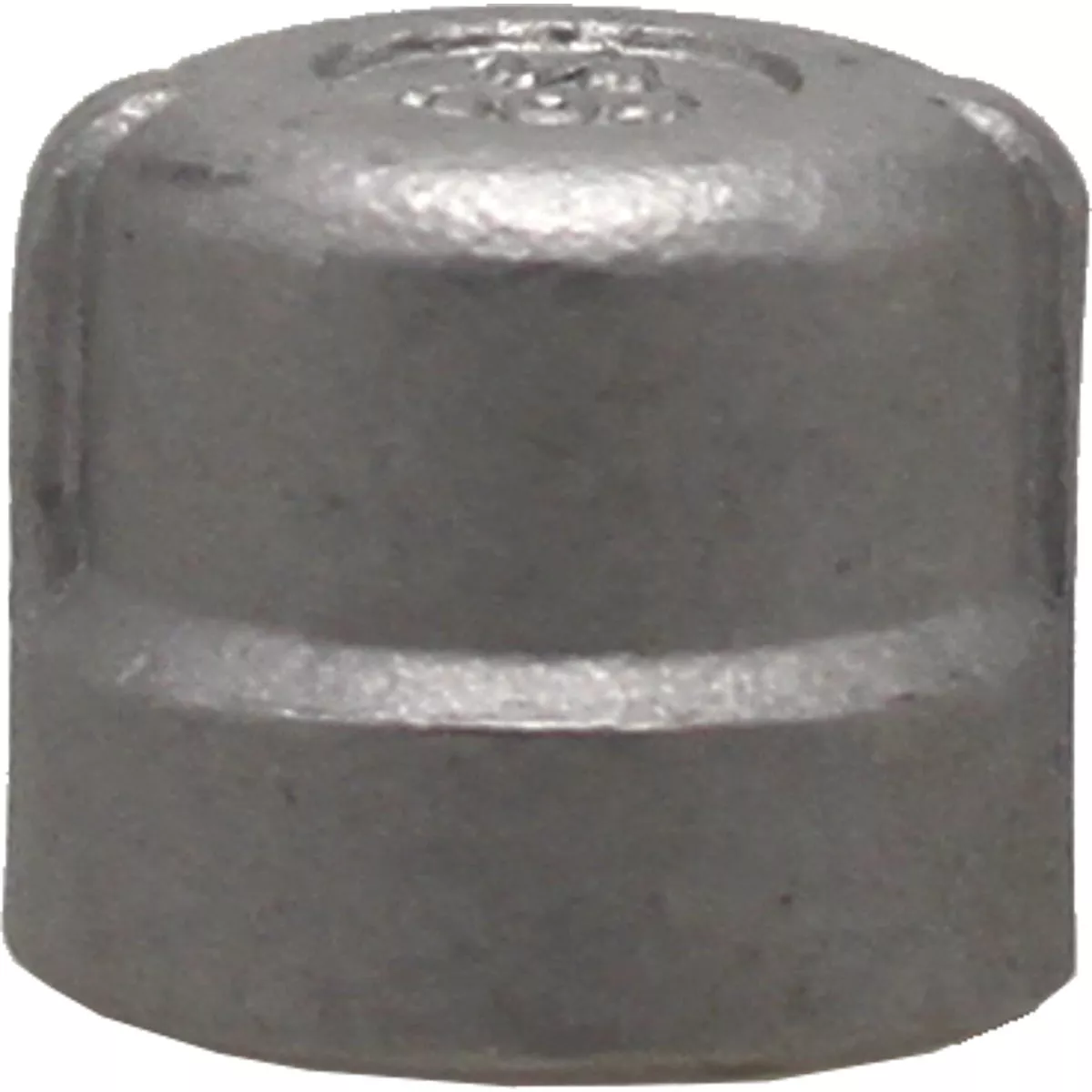 PLUMB-EEZE 1/4 In. FIP Stainless Steel Cap