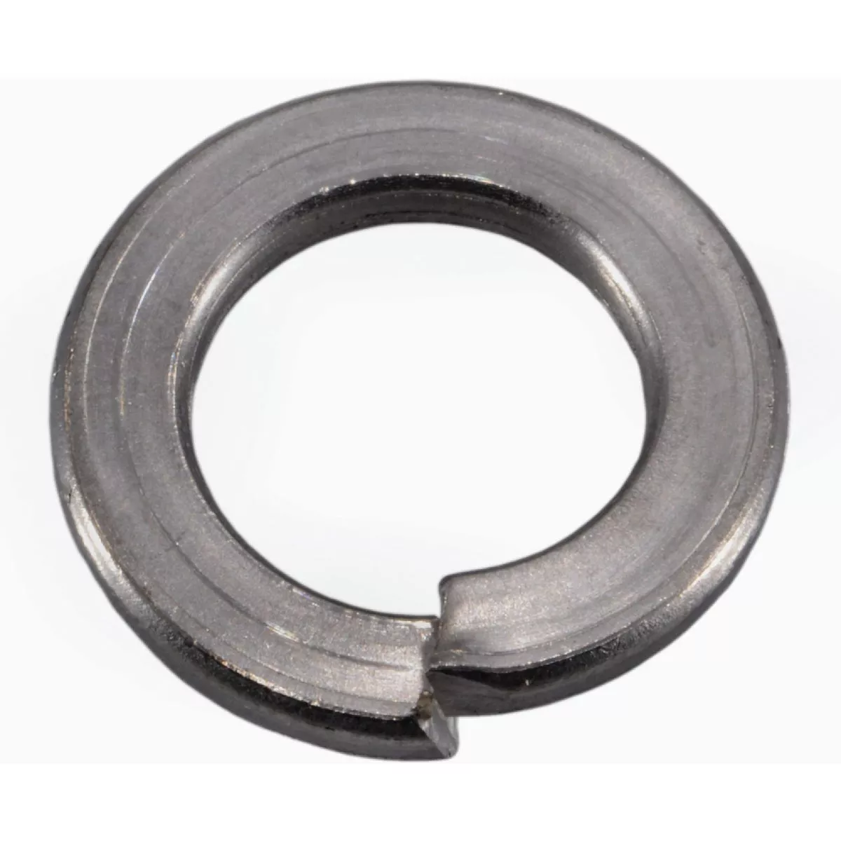 Midwest Fastener 12mm x 21mm A2 Stainless Steel Lock Washers (15 Ct.)