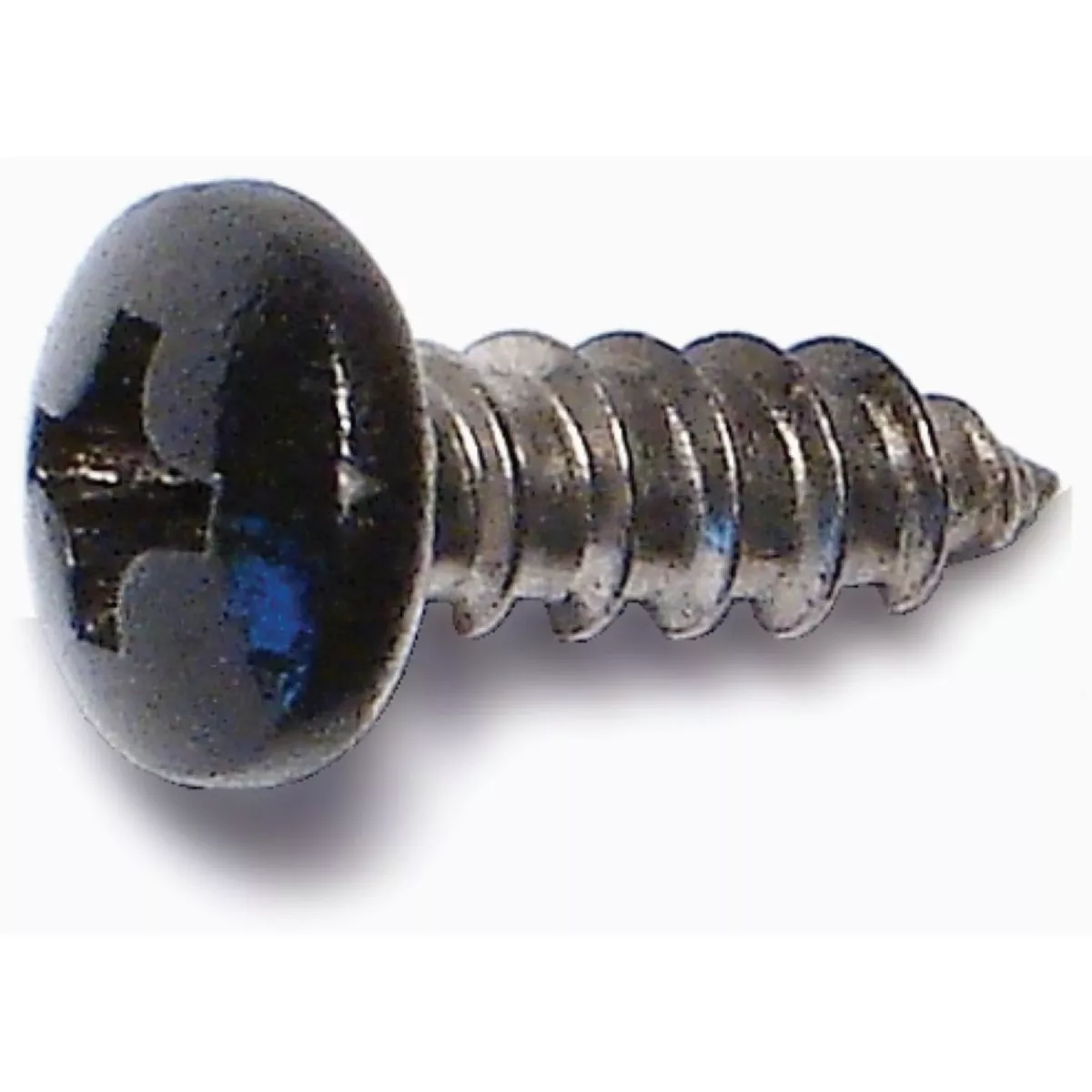 Midwest Fastener #8 x 1/2 In. Black Painted 18-8 Stainless Steel Phillips Pan Head Sheet Metal Screws