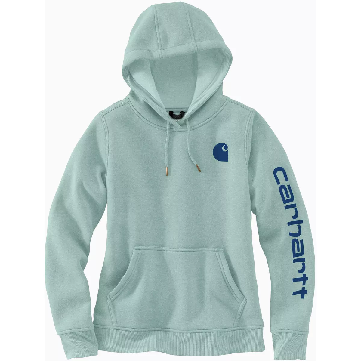 Carhartt Women's Medium Regular Succulent Heather Midweight Logo Sleeve Graphic Pullover Hooded Sweatshirt, Relaxed Fit