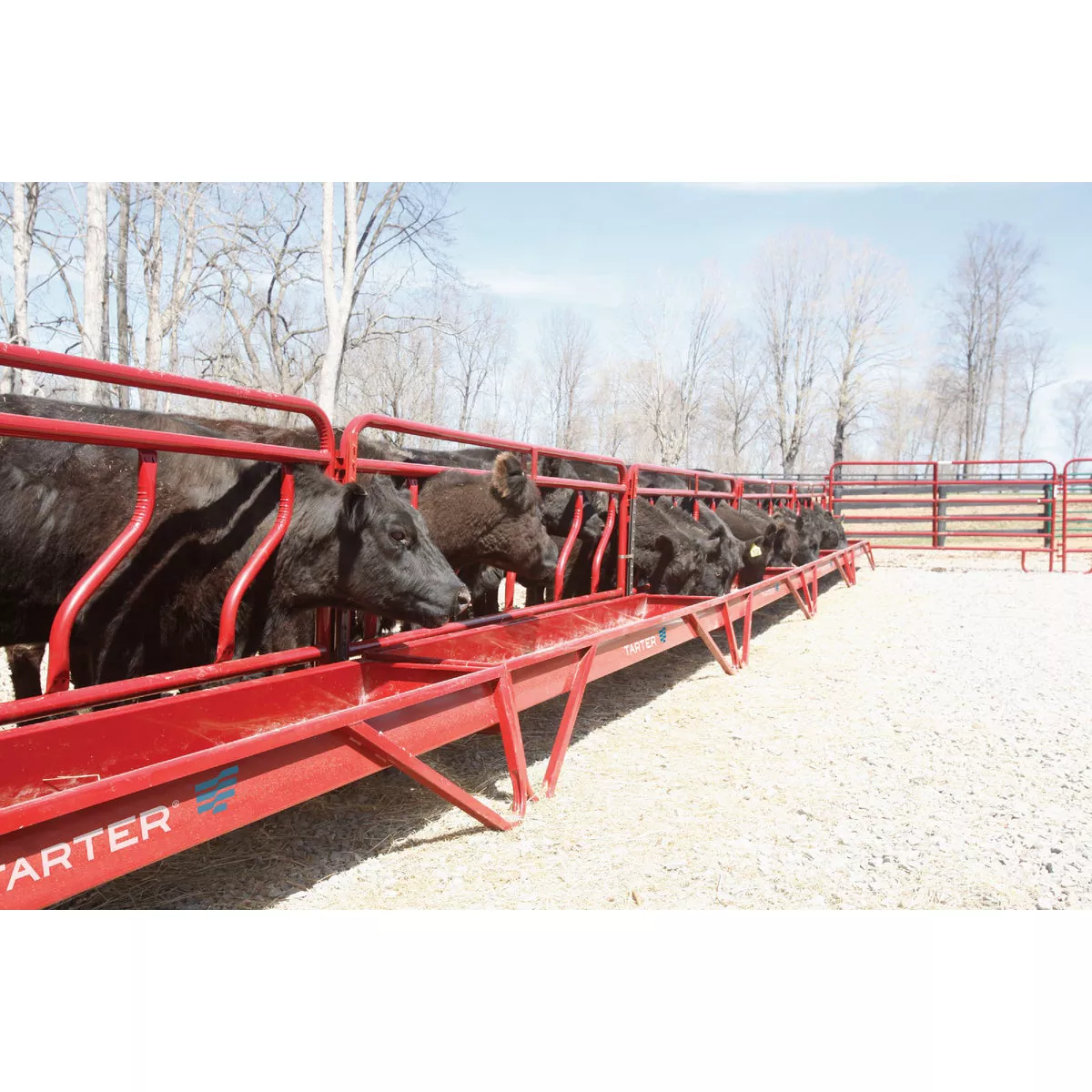 Tarter 10 Ft. Metal Grain Feeder