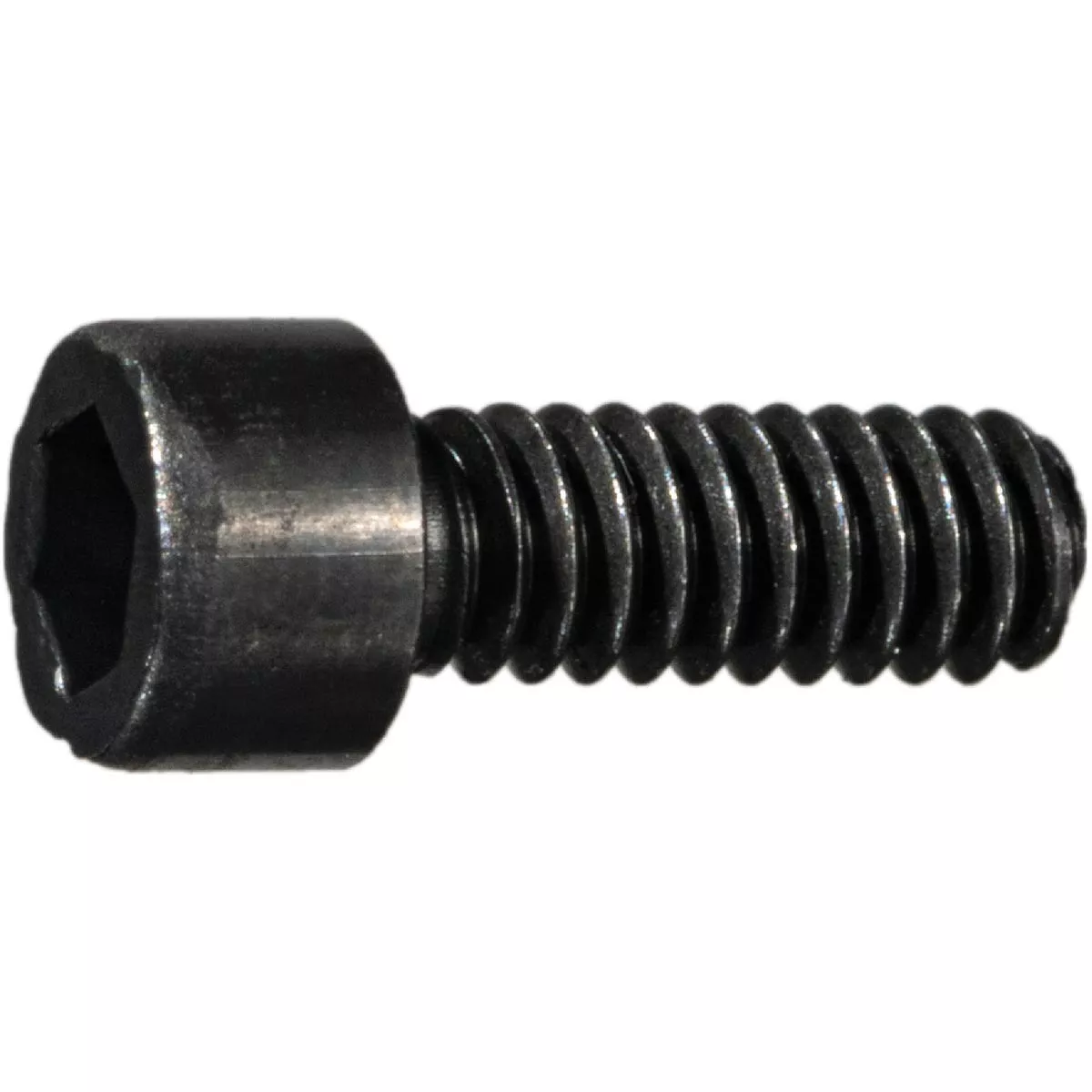 Midwest Fastener #2-56 x 1/4 In. Plain Steel Coarse Thread Miniature Socket Cap Screws (15 Ct.)