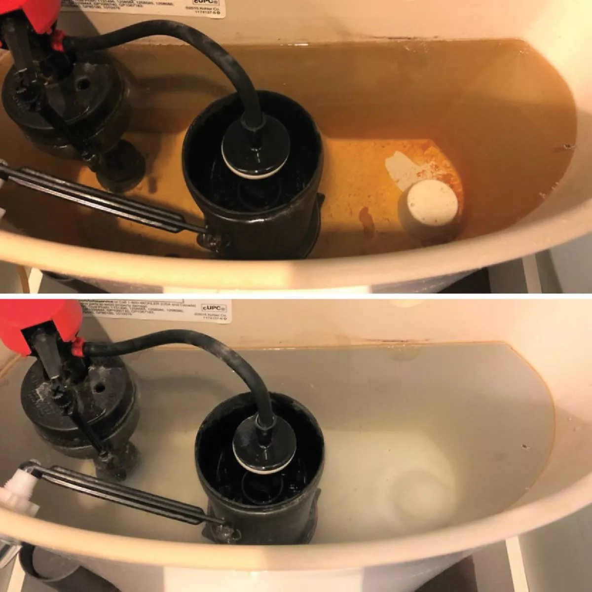 Whink RustGuard Bowl Cleaner (6-Pack) - photo 4