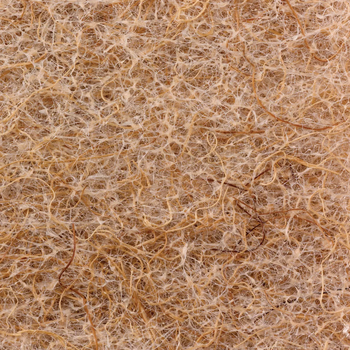 Scotch-Brite Greener Clean Non-Scratch Scrub Sponge - photo 2