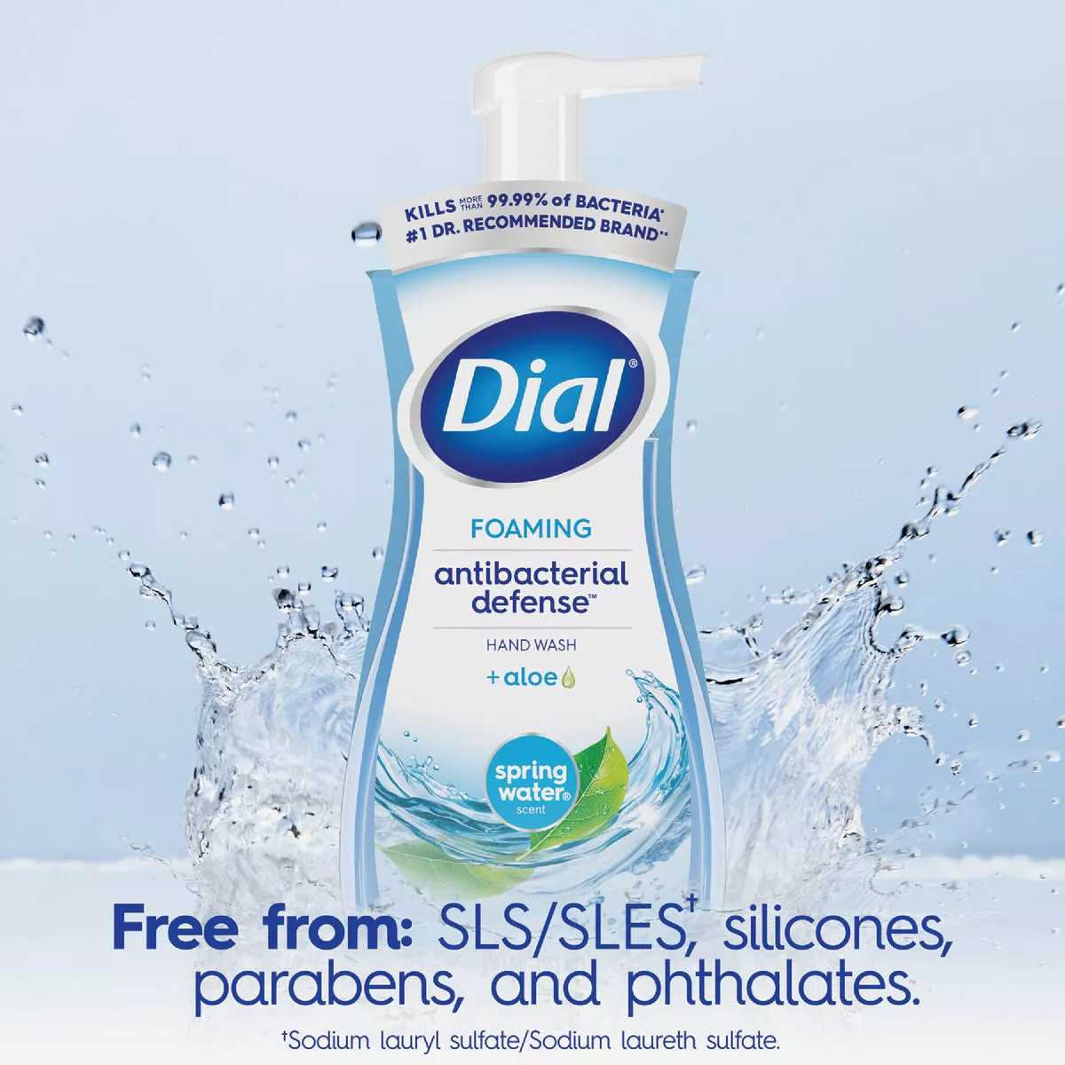 Dial Antibacterial Defense 7.5 Oz. Spring Water + Aloe Foaming Hand Soap - photo 6