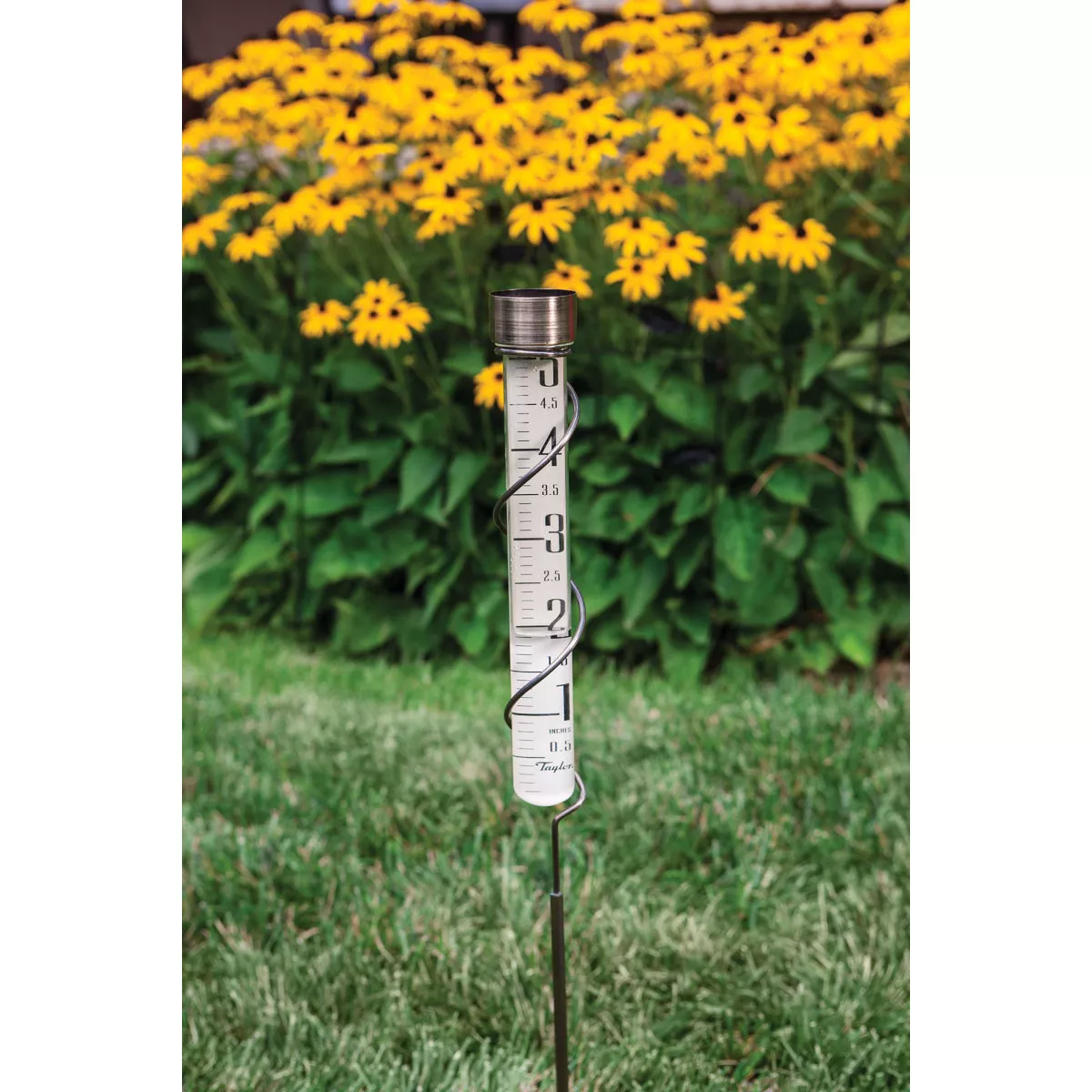 Taylor Heritage Collection 5 In. Glass Rain Gauge - photo 4