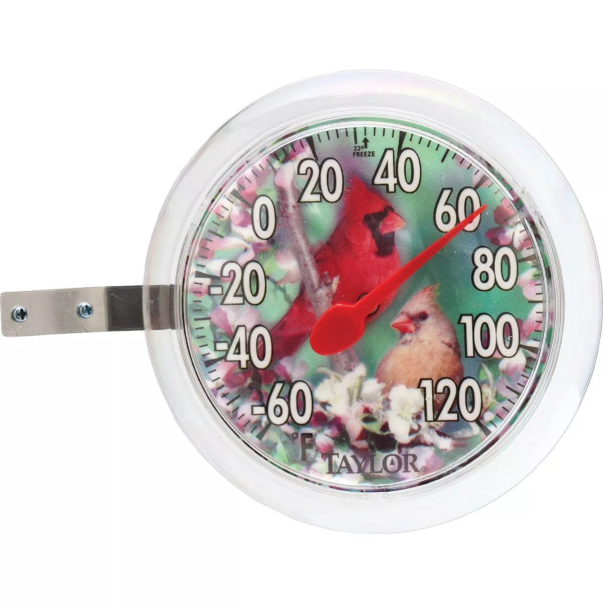 Taylor 6" Fahrenheit -60 To 120 Outdoor Wall Thermometer