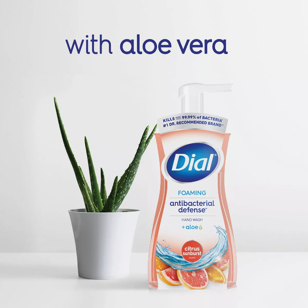 Dial Antibacterial Defense 7.5 Oz. Citrus Sunburst + Aloe Foaming Hand Wash - photo 5