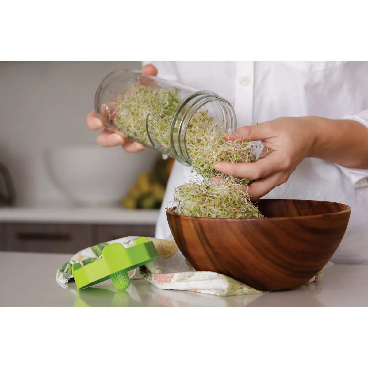 Masontops Wide Mouth Single Mason Jar Sprouting Kit - photo 3
