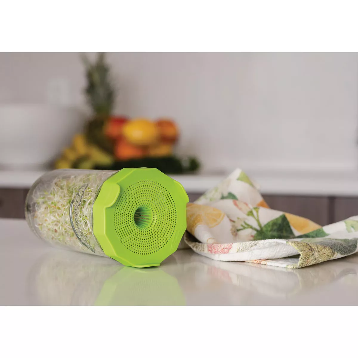 Masontops Wide Mouth Single Mason Jar Sprouting Kit - photo 5
