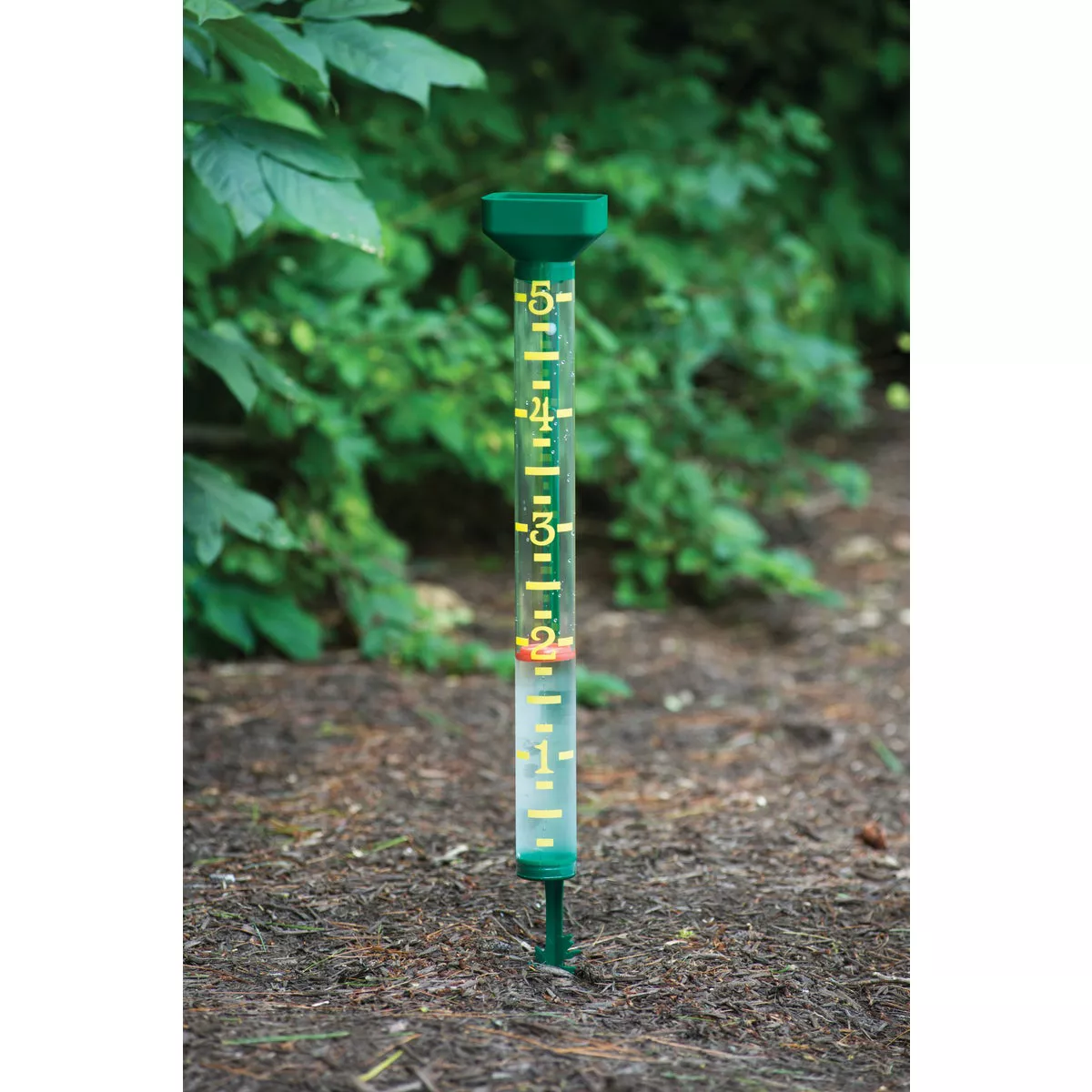 EZRead 5 In. Plastic Jumbo Rain Gauge - photo 2