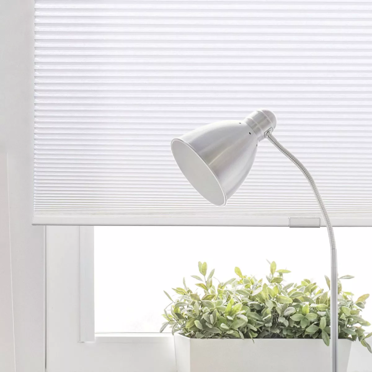 Home Impressions 1 In. Light Filtering Cellular White 34 In. x 72 In. Cordless Shade - photo 3