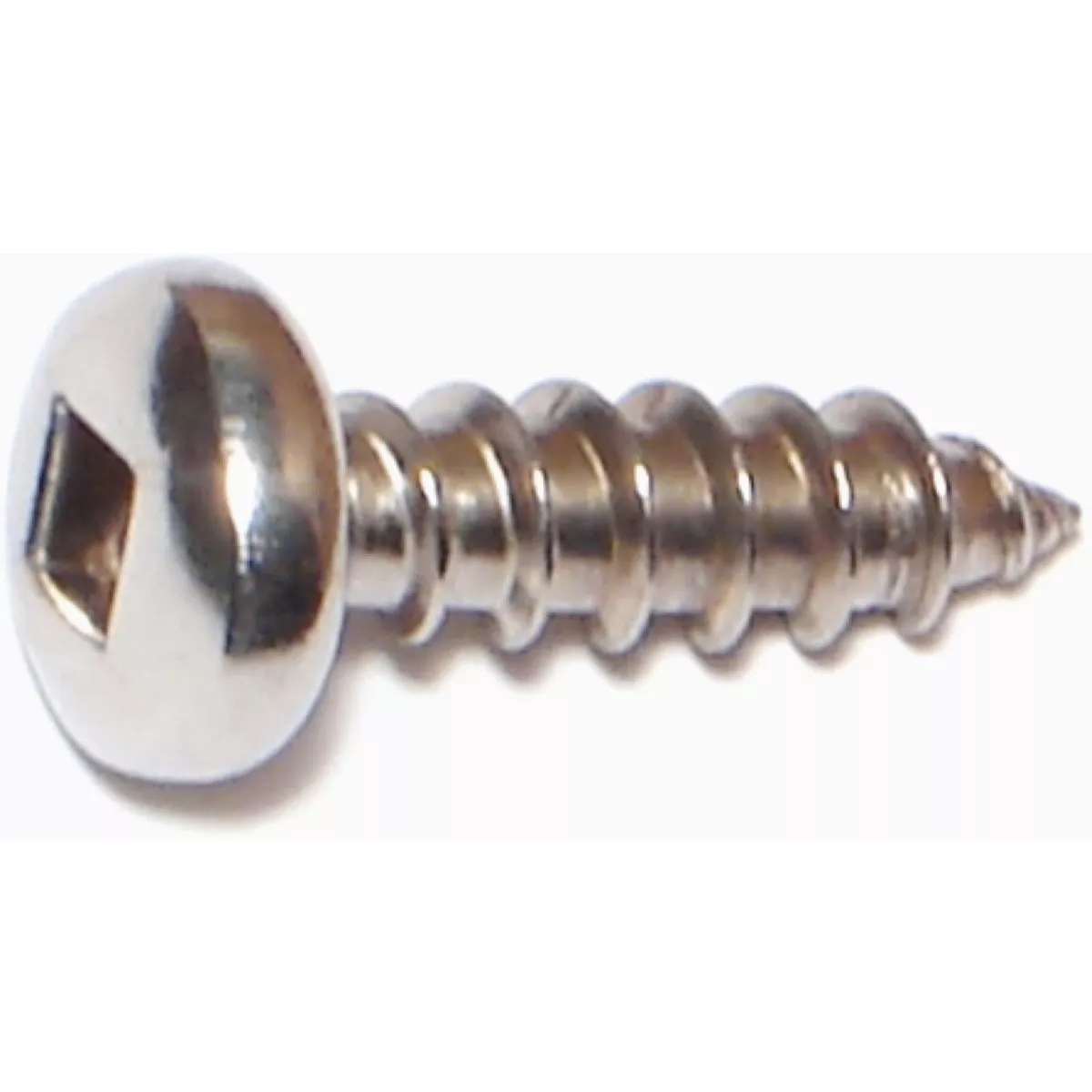Midwest Fastener #12 x 3/4 In. 18-8 Stainless Steel Square Drive Pan Head Sheet Metal Screws (5 Ct.)-