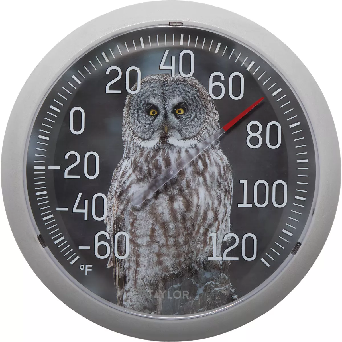 Taylor 13.25 In. Owl Nature Series Round Dial Thermometer