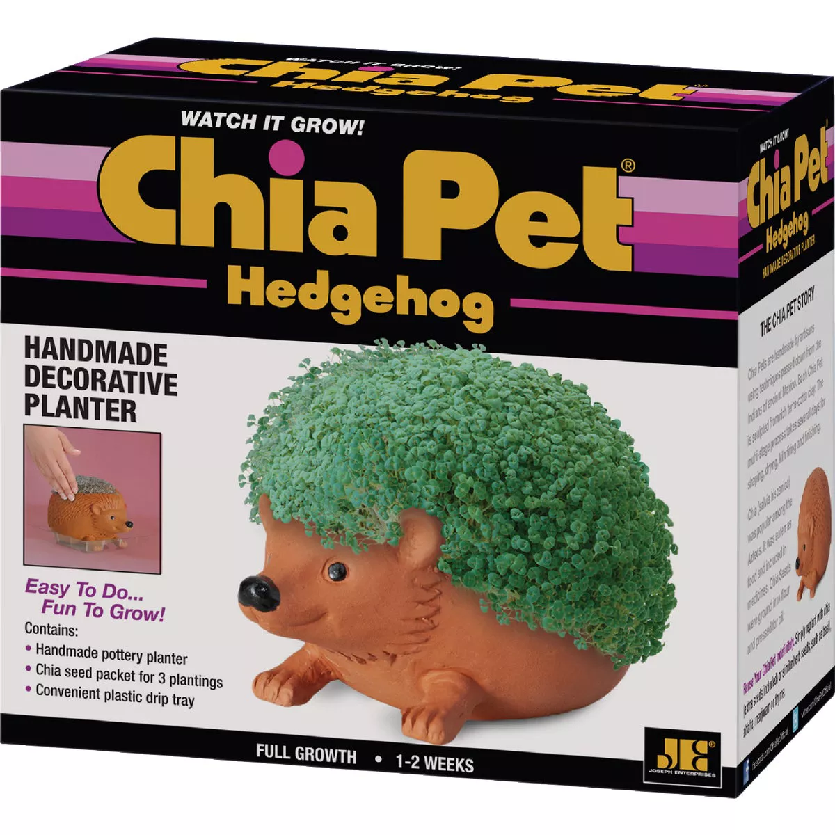 Chia Pet Hedge Hog Decorative Pottery Planter - photo 2