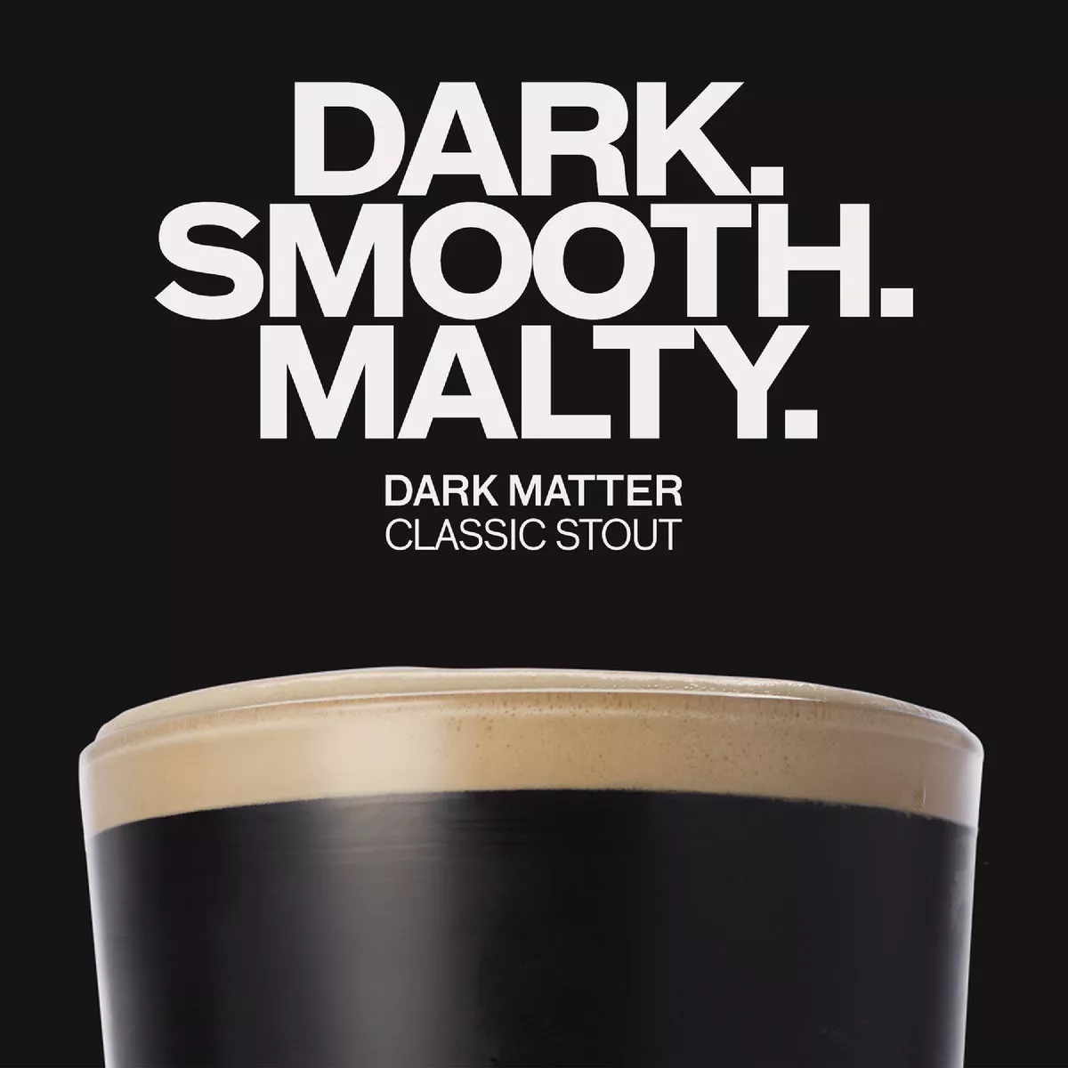 Pinter Dark Matter Stout Beer Brewing Pack - photo 2