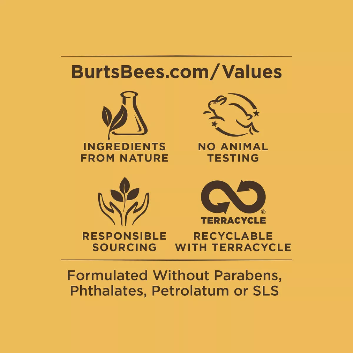 Burt's Bees Super Fruit Pink Grapefruit, Mango, Coconut & Pear and Pomegranate Lip Balm (4-Pack) - photo 3