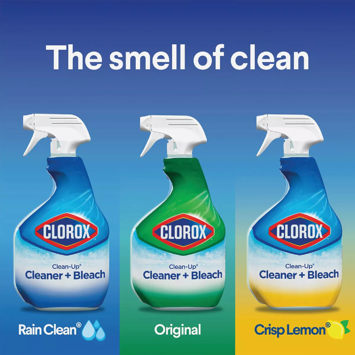 Clorox Clean-Up 32 Oz. Rain Clean All-Purpose Cleaner + Bleach - photo 5