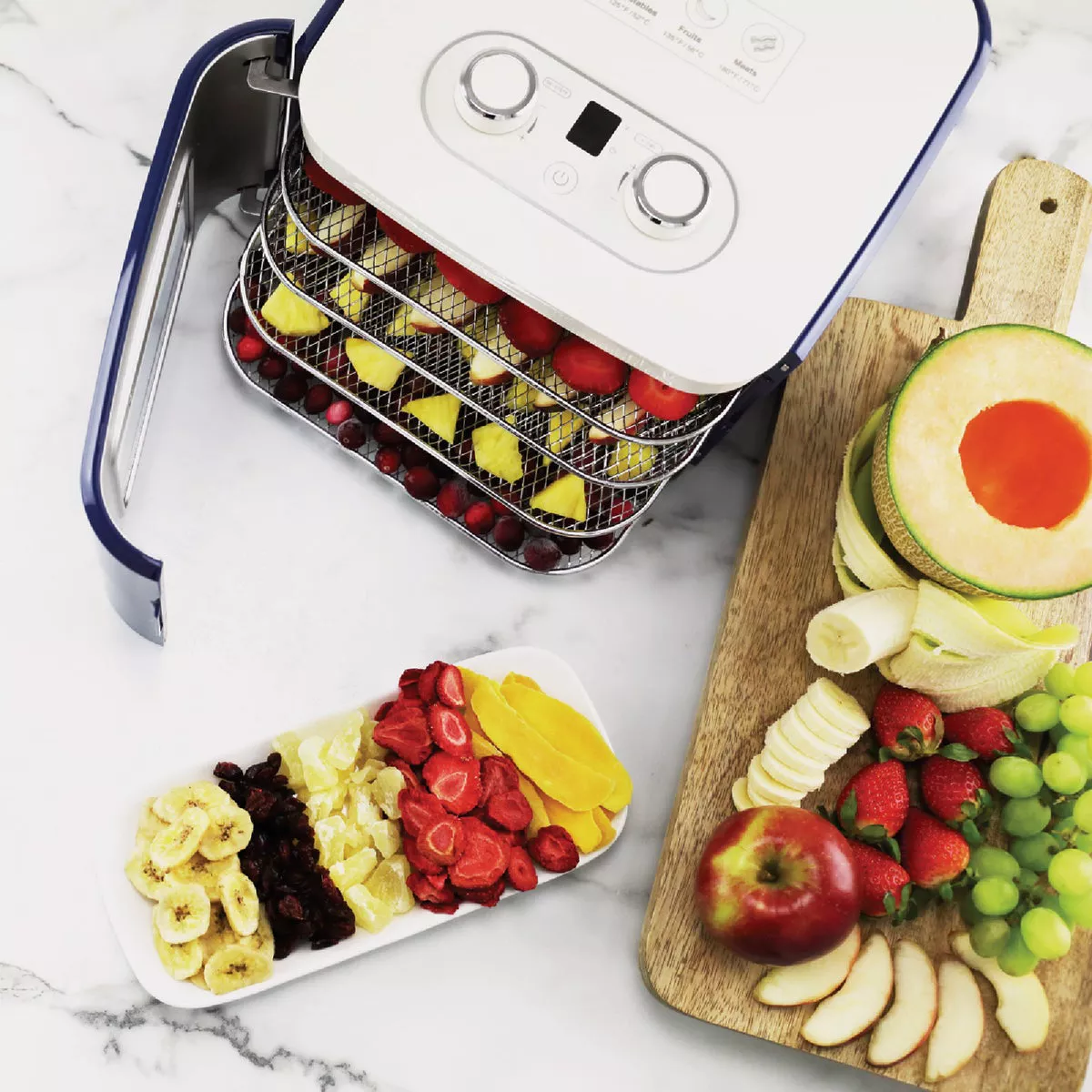 Nesco Snackmaster Jr. Dehydrator - photo 5