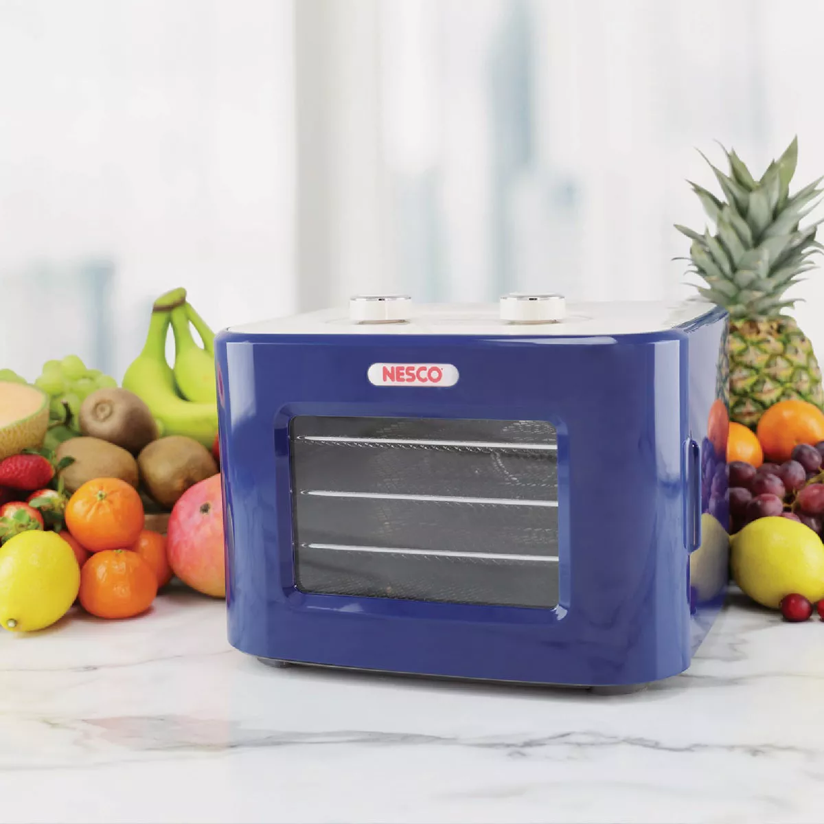 Nesco Snackmaster Jr. Dehydrator - photo 4