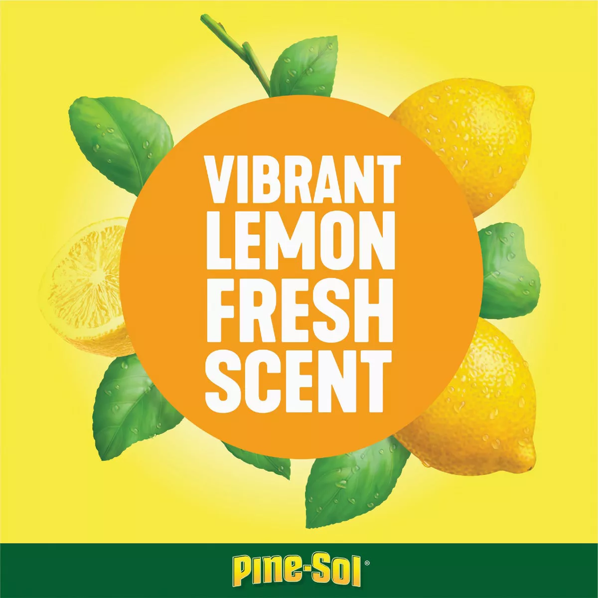 Pine-Sol Professional 144 Oz. Lemon Fresh Multi-Surface All-Purpose Cleaner - photo 6
