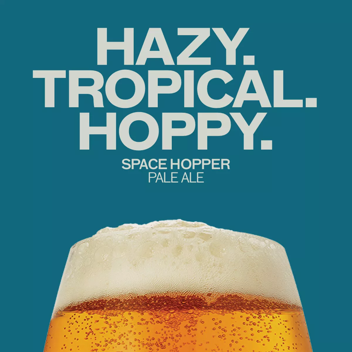Pinter Space Hopper DIPA Beer Brewing Pack - photo 3