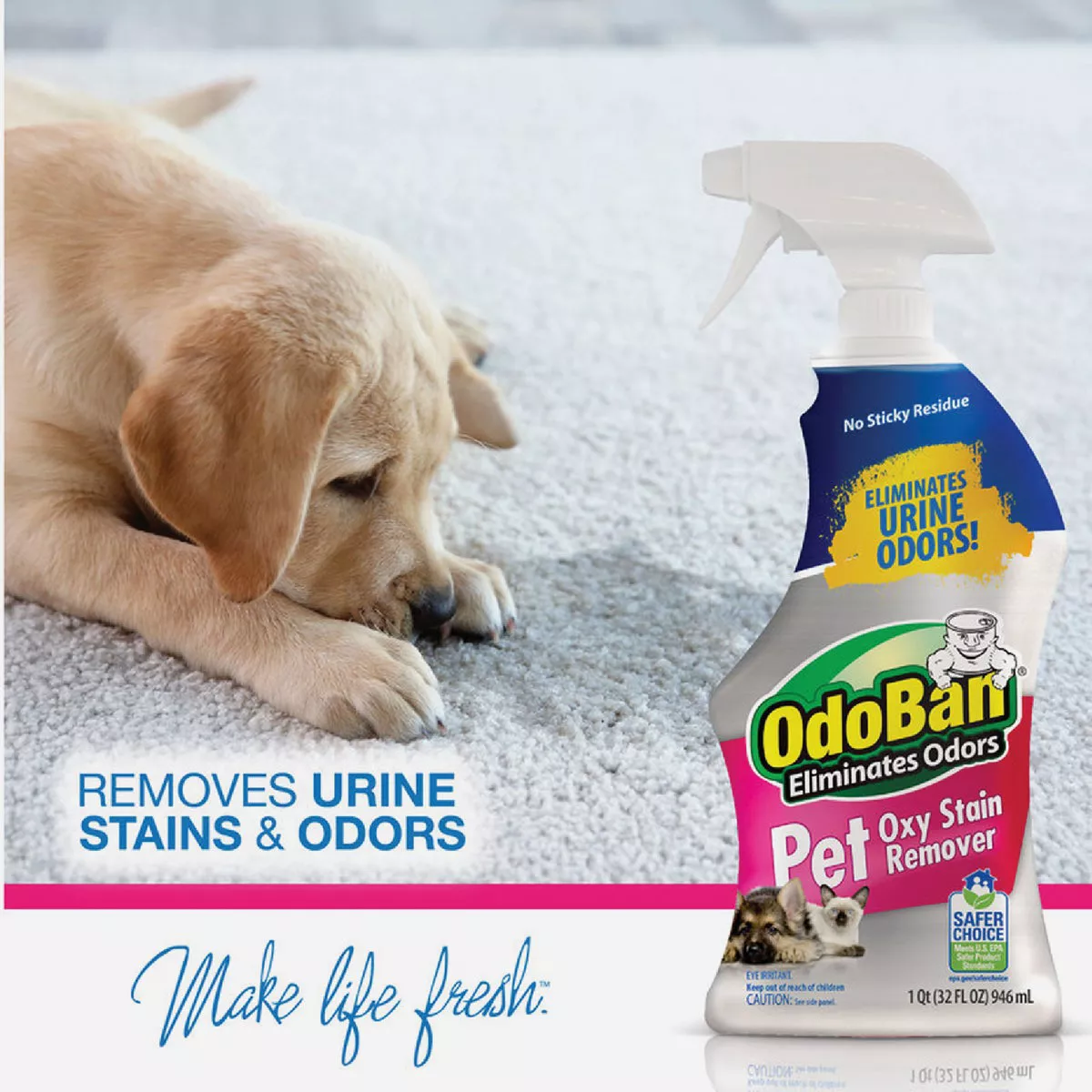 OdoBan 32 Oz. Pet Oxy Stain Remover Carpet Cleaner - photo 3