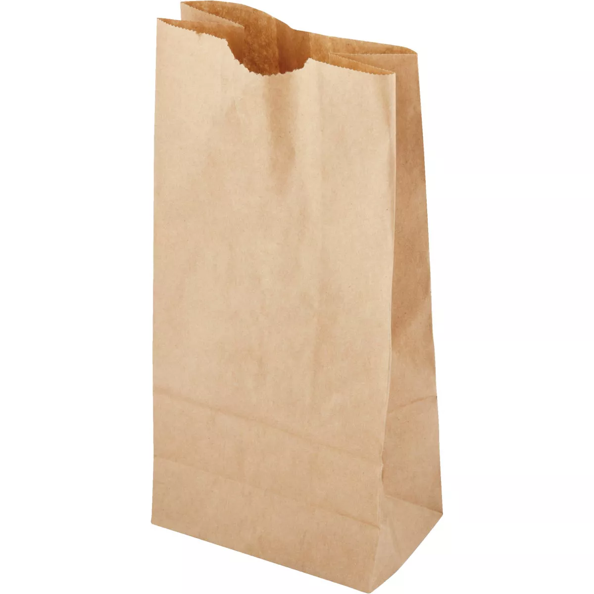 AJM Paper Lunch Bag (50-Count) - photo 2