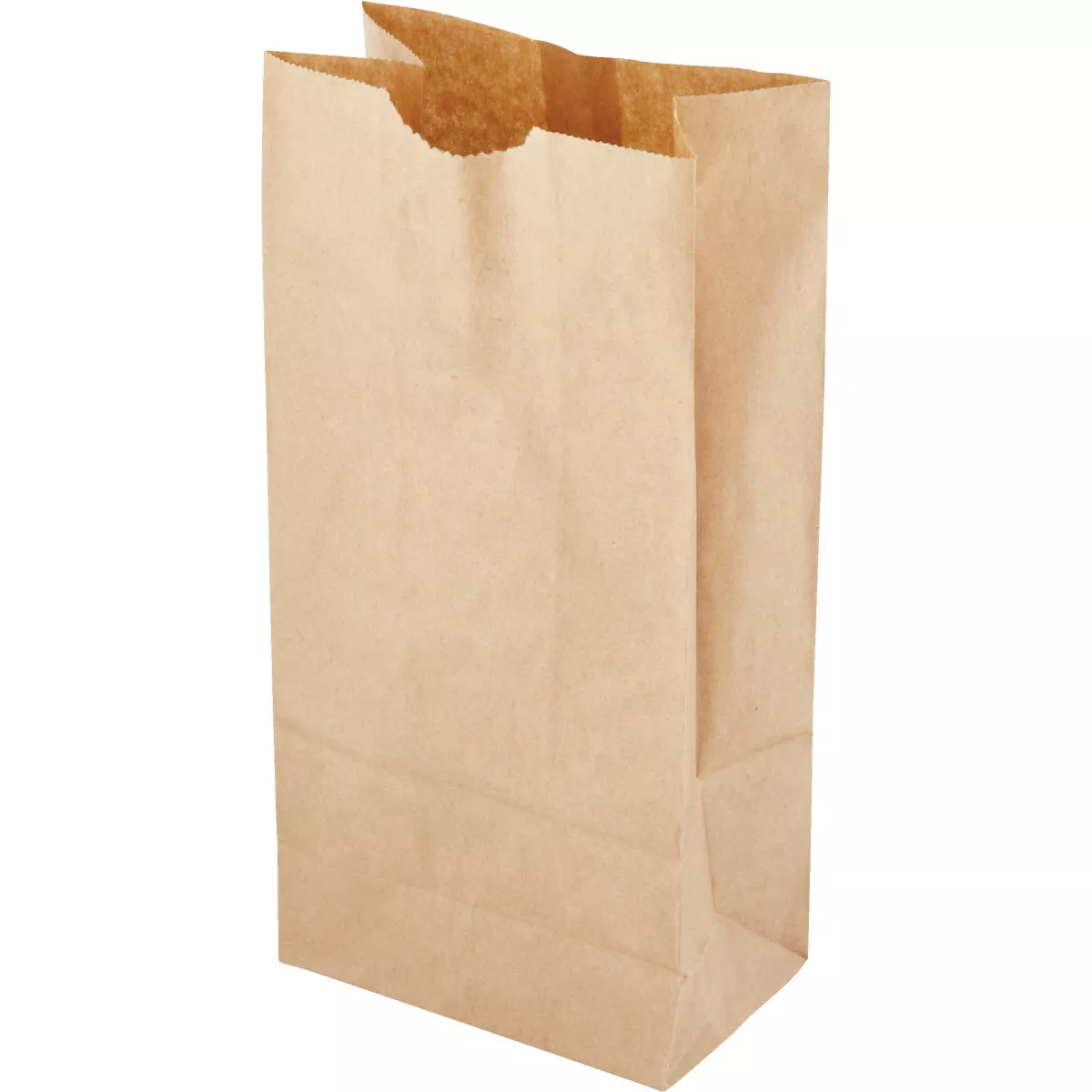 AJM Paper Lunch Bag (50-Count) - photo 3