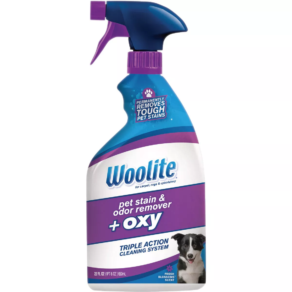 Woolite 22 Oz. Carpet Pet Stain & Odor Remover + Oxy