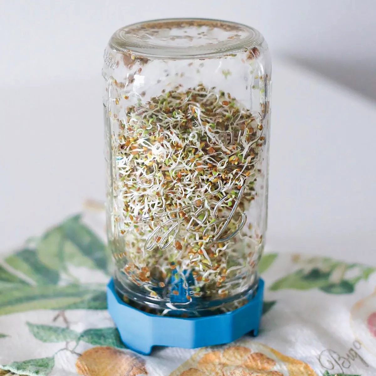 Masontops Wide Mouth Bean Screen Lid (2-Count) - photo 5