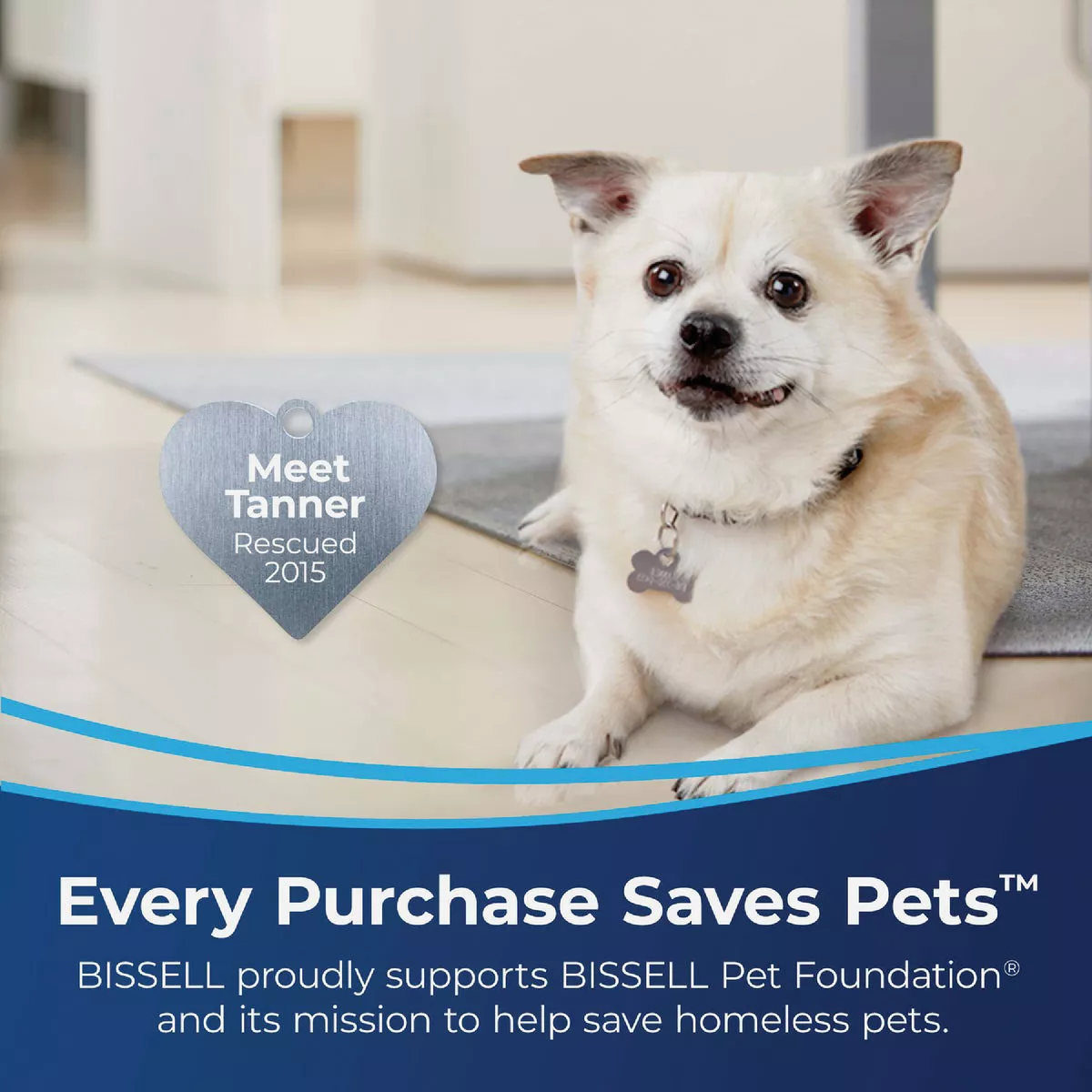 Bissell Pet Stain Eraser Plus Carpet Cleaner - photo 6