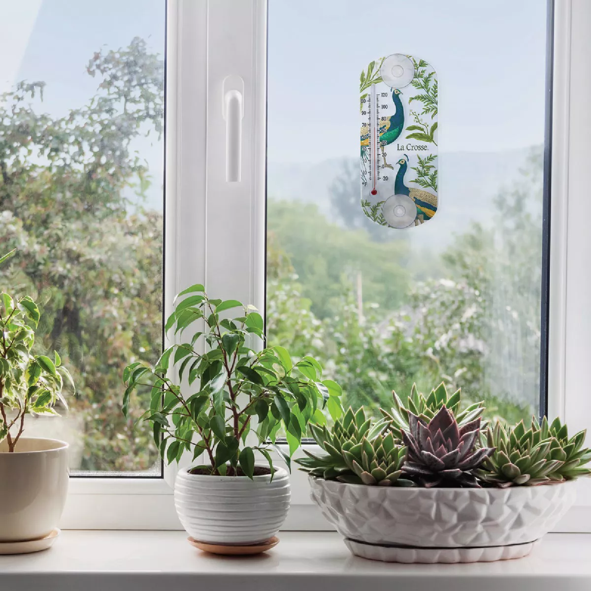 La Crosse Technology 8 In. Suction Capillary Assorted Thermometers - Daisy, Leaves & Peacock - photo 6