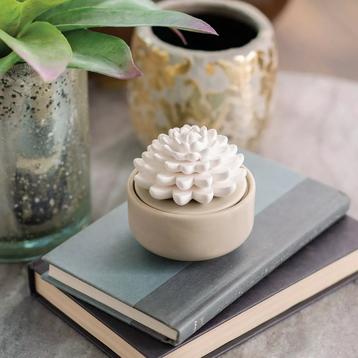 Candle Warmers Airome Porcelain Essential Oil Diffuser - Succulent - photo 3