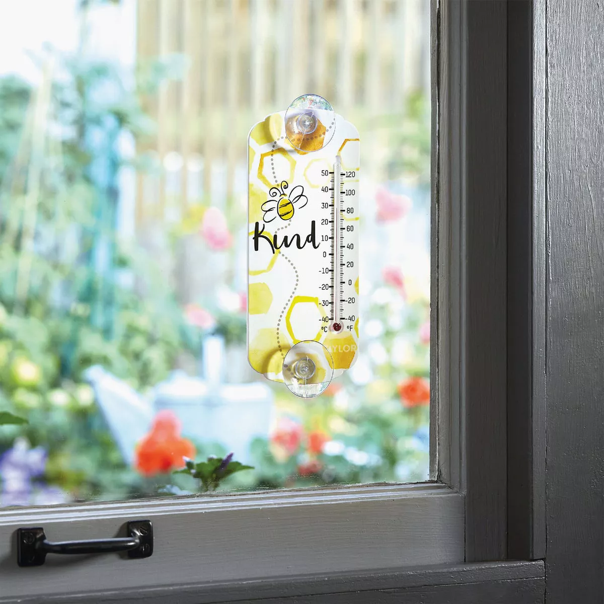 Taylor Bee Kind Thermometer With Suction Cups - photo 2