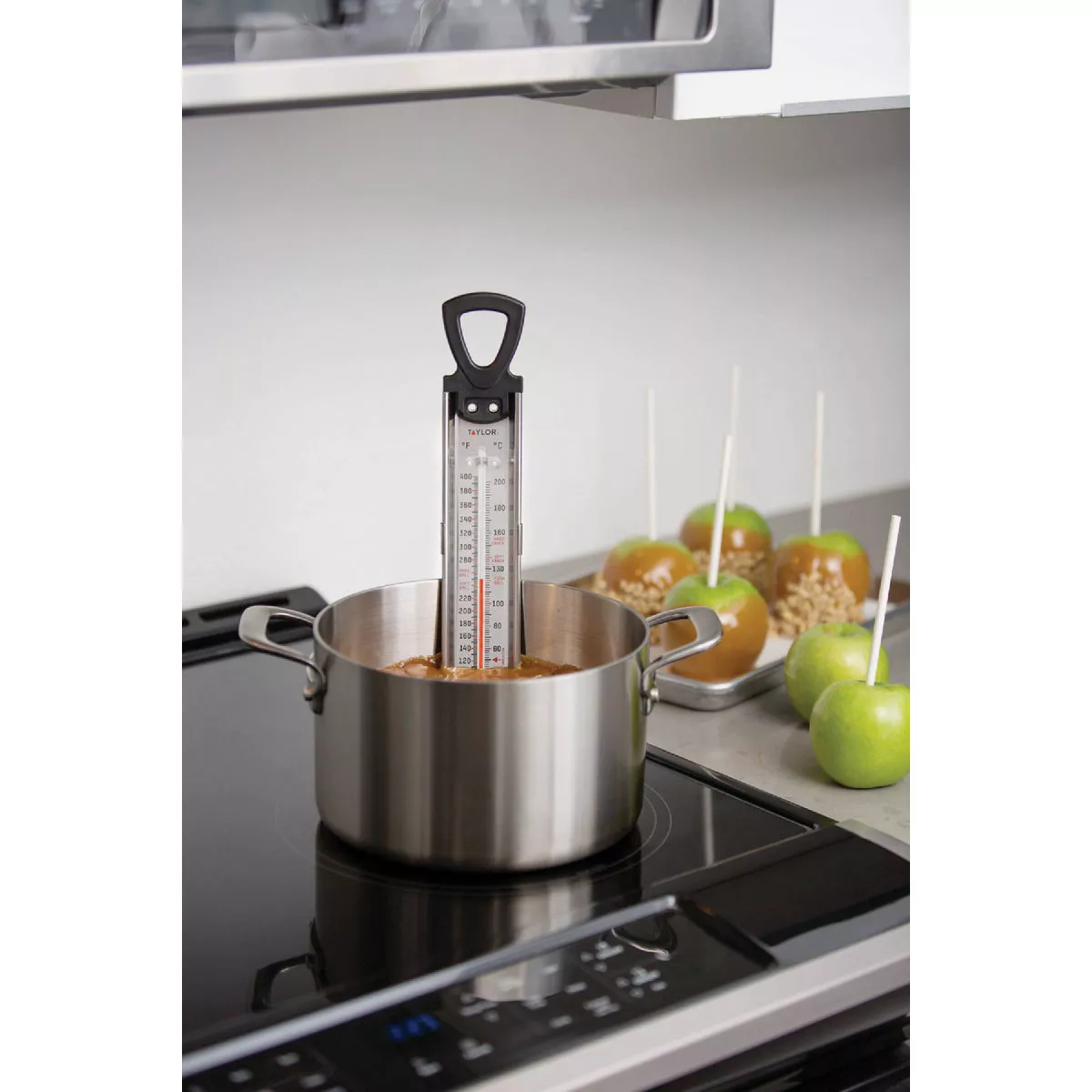 Taylor Candy/Jelly/Deep Fry Kitchen Thermometer - photo 3