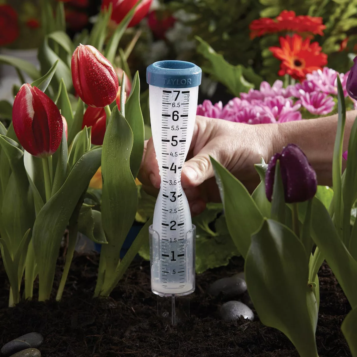 Taylor 7 In. Capacity Shatterproof Silicone Rain Gauge with Ground Stake - photo 3
