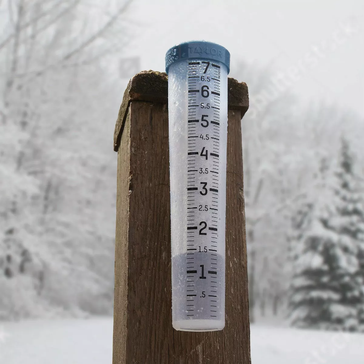 Taylor 7 In. Capacity Shatterproof Silicone Rain Gauge with Ground Stake - photo 4