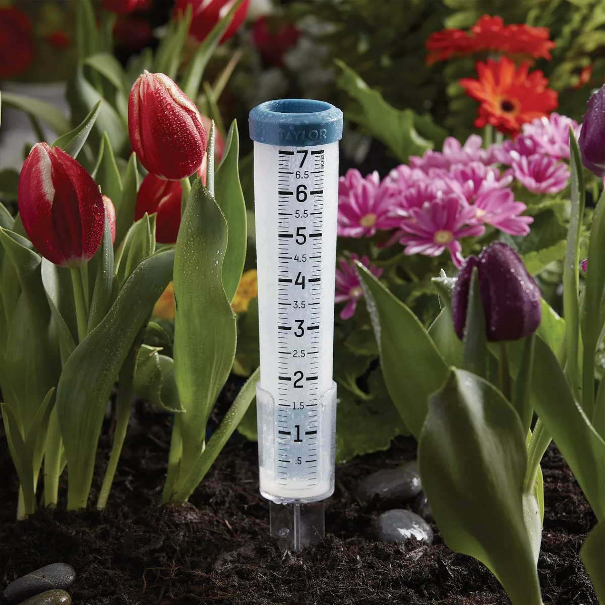 Taylor 7 In. Capacity Shatterproof Silicone Rain Gauge with Ground Stake - photo 2