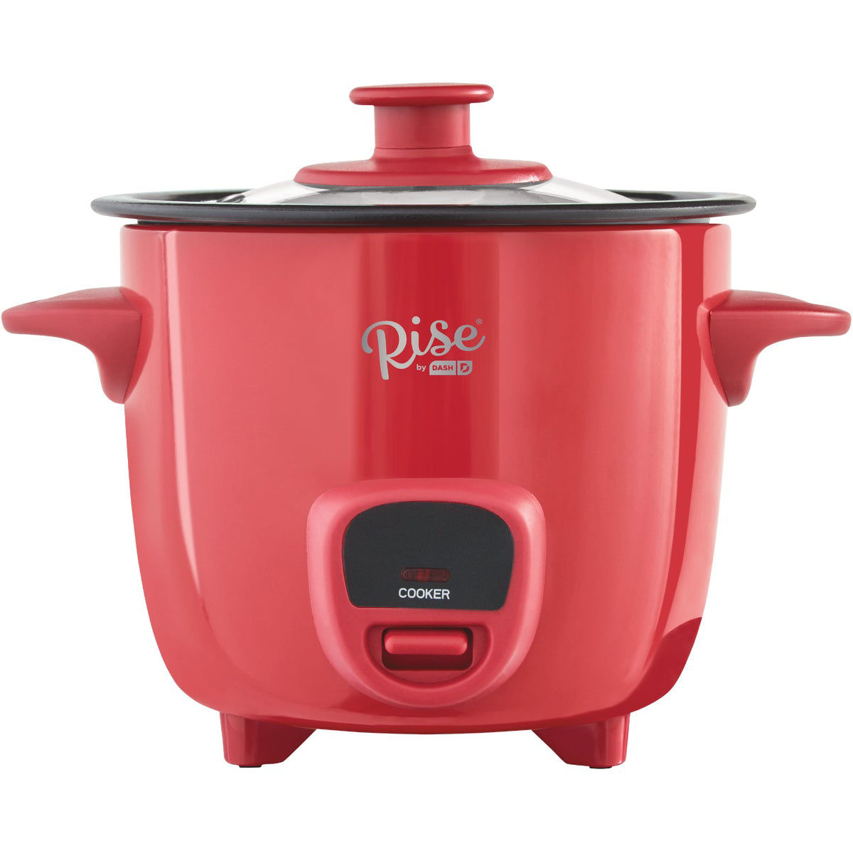 Rise By Dash 2Cup Mini Rice Cooker Do it Best