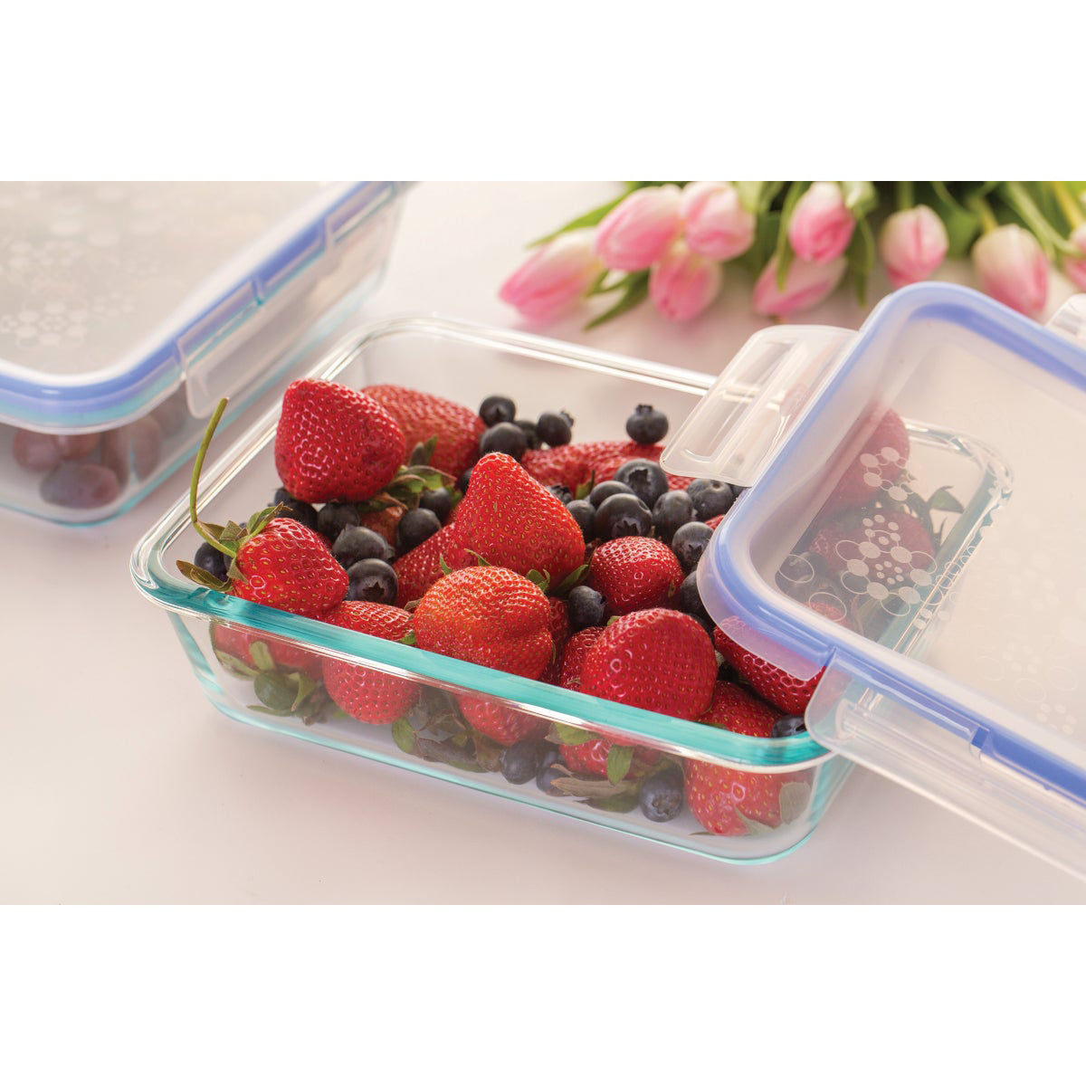 Snapware Handle Food Storage Containers