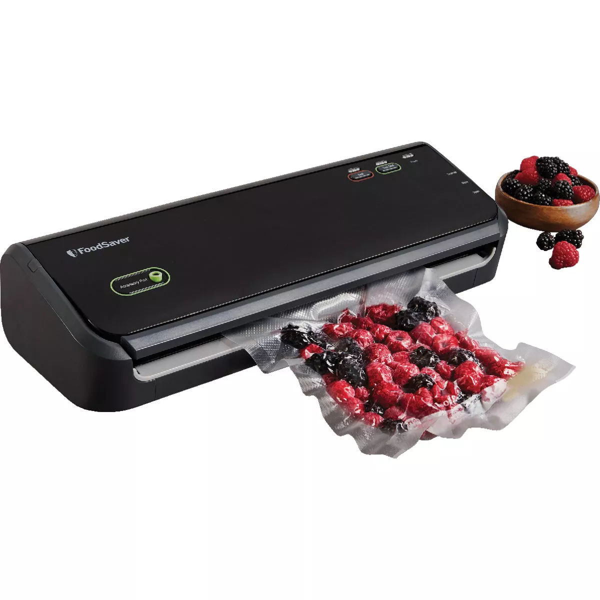FoodSaver G2 Vacuum Food Sealer System | Do it Best