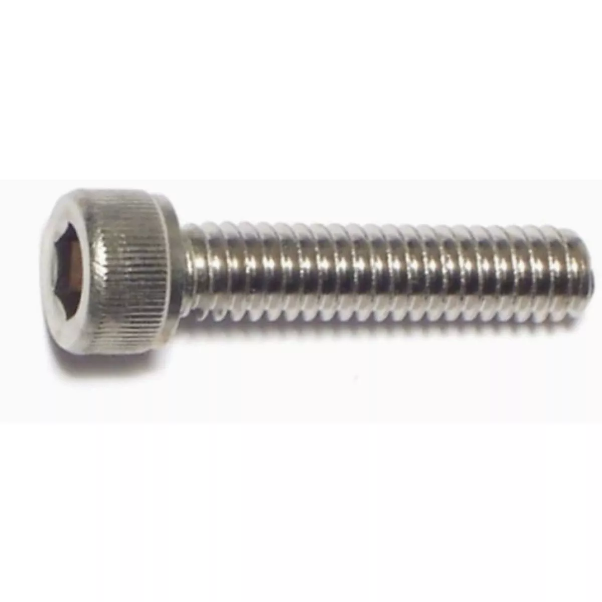 Midwest Fastener #8-32 x 5/8 In. 18-8 Stainless Steel Coarse Thread Socket Cap Screws (10 Ct.)